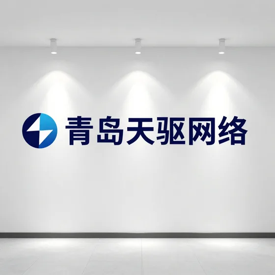 为什么越来越多人选择青岛天驱网络