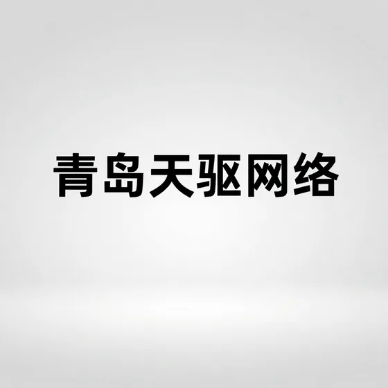 青岛天驱网络指南